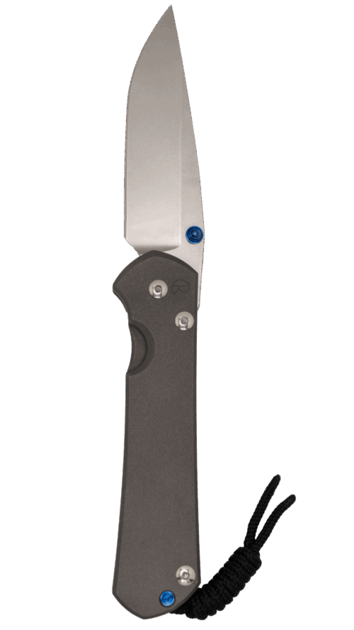 CHRIS REEVES | LG SEBENZA 31 | PLAIN DROP POINT | L31-1110