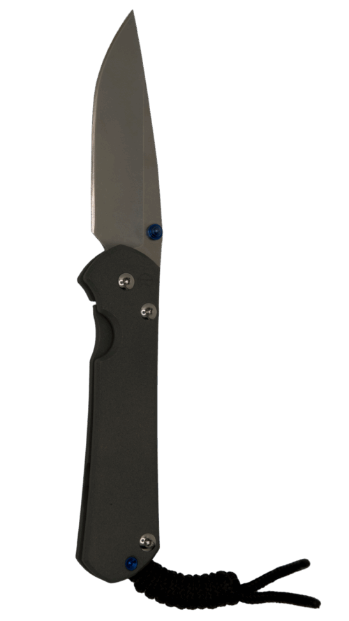 Chris Reeves Sebenza 31 Plain Drop Point | CR-SSPDP